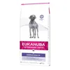 Fodder Eukanuba Dermatosis FP for Dogs Fish Adult 12 kg