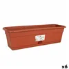 Planter with Dish Dem Greentime Rectangular Brown 40 x 20 x 17,3 cm (6 Units)