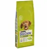 Fodder Purina Dog Chow Adult Adult Chicken 14 Kg