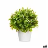 Decorative Plant Plastic 17 x 17 cm (6 Units)