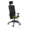 Office Chair with Headrest Piqueras y Crespo 1D066G1 Pistachio