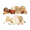 Decorative Potpourri 14 x 14 x 14 cm (12 Units)