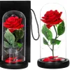 HA5156 ETERNAL ROSE IN GLASS