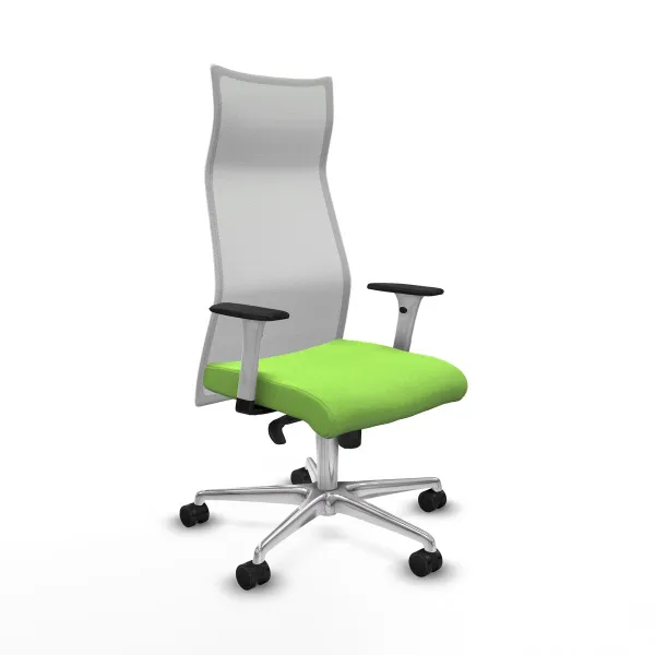 Office Chair Piqueras y Crespo B1B086N Pistachio
