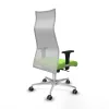 Office Chair Piqueras y Crespo B1C086G Pistachio