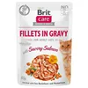 Cat food Brit Care Chicken Salmon