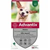 Anti-parasites Advantix Dog 1,5-4 Kg 4 Units