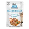 Cat food Brit                                 Chicken Cheese Turkey