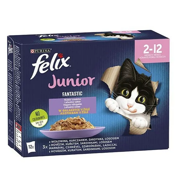 Cat food Purina                                 Chicken Salmon Veal 12 x 85 g