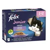 Cat food Purina                                 Chicken Salmon Veal 12 x 85 g