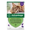 Anti-parasites Advantage Cat Rabbit +4 Kg 4 Units 0,8 ml