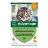 Anti-parasites Advantage Cat Rabbit 1-4 Kg 0,4 ml 6 Units