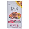 Fodder Brit Apple Corn Guinea pig Rabbit 300 g