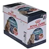 Cat food Royal Canin Hairball Care Gravy Meat 12 x 85 g