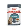 Cat food Royal Canin Hairball Care Gravy Meat 12 x 85 g