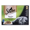 Cat food Sheba Selection Chicken Salmon Fish Veal 100 g