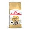 Cat food Royal Canin Maine Coon Adult + 1 year Adult Birds 10 kg