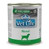 Wet food Farmina Vet Life Chicken Sweet potato 300 g