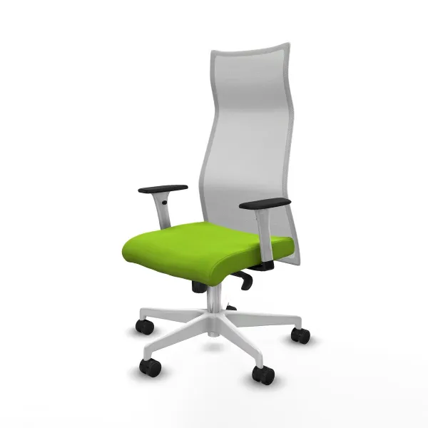 Office Chair Piqueras y Crespo B1B026N Pistachio