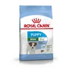 Fodder Royal Canin Mini Puppy Kid/Junior Rice Birds 2 Kg