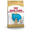 Fodder Royal Canin Kid/Junior 3 Kg