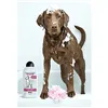 Pet shampoo Wahl Clean & Calm 750 ml