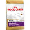 Fodder Royal Canin Maltese Adult Adult Corn Birds 1,5 Kg