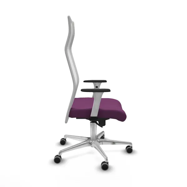 Biuro kėdė Albacete Piqueras y Crespo B1B086G Purpurinė