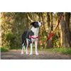 Dog Harness Red Dingo 84-119 cm Red XL