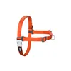 Dog Harness Red Dingo 30-42 cm Orange XS