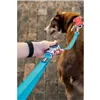 Dog Lead Red Dingo Turquoise