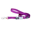 Dog Lead Red Dingo Purple