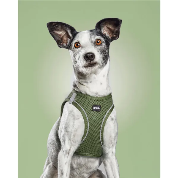 Dog Harness Gloria 28-28,6 cm Green XXS 24-26 cm