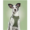 Dog Harness Gloria 28-28,6 cm Green XXS 24-26 cm