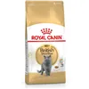 Cat food Royal Canin British Shorthair Adult Chicken Rice Birds 2 Kg