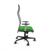 Office Chair Albacete Piqueras y Crespo B1B036G Green