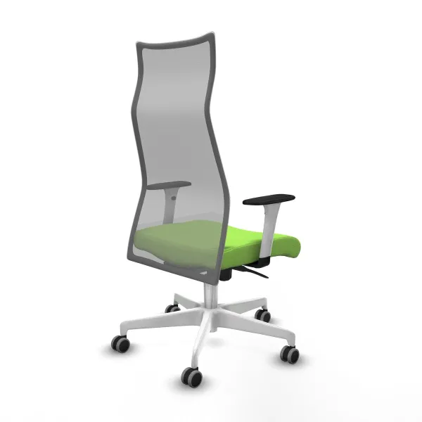 Biuro kėdė Albacete Piqueras y Crespo B1B026G Pistacijos riešutų
