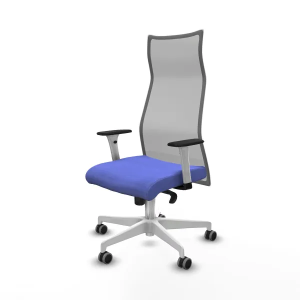 Biuro kėdė Albacete Piqueras y Crespo B1B026G Šviesiai mėlyna