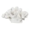 Decorative Figure White Coral 19 x 14 x 11 cm