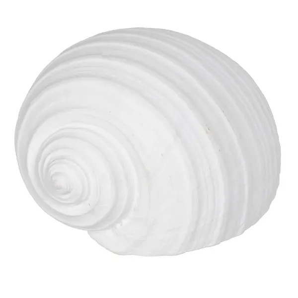 Decorative Figure White Snail 15 x 11 x 9 cm