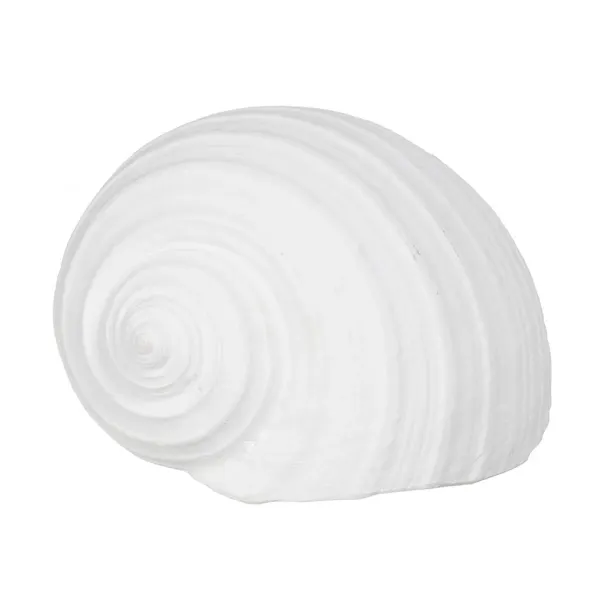 Decorative Figure White Snail 15 x 11 x 9 cm