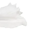 Decorative Figure White Snail 21 x 19 x 13 cm