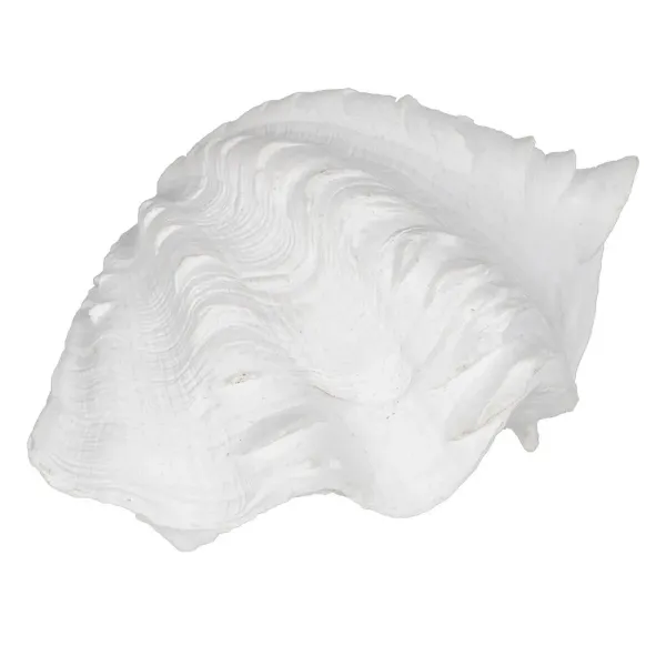 Decorative Figure White Snail 14 x 7 x 10 cm