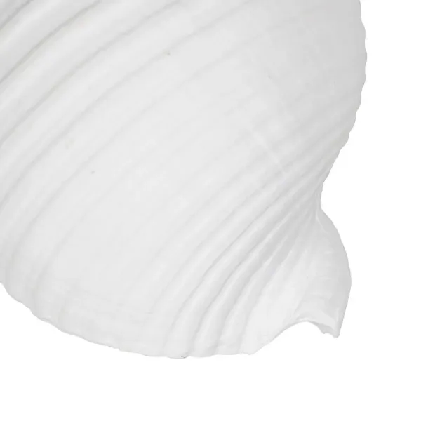 Decorative Figure White Snail 11 x 9 x 8 cm