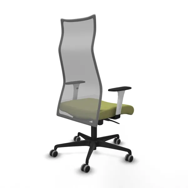 Biroja krēsls Albacete Piqueras y Crespo B1B036G Zaļš