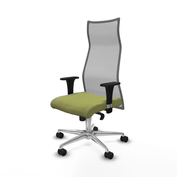 Biroja krēsls Albacete Piqueras y Crespo B1C086N Zaļš