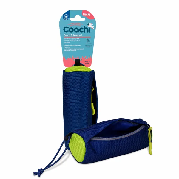 Training toy Coachi Blue