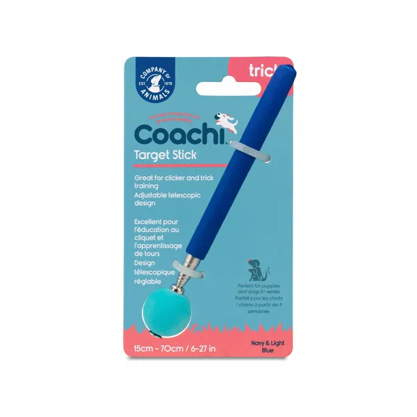 Training toy Coachi Stick Blue