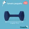 Dumbbell Coachi TRAINING DUMBBELL Blue