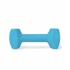 Dumbbell Coachi TRAINING DUMBBELL Blue L Plastic